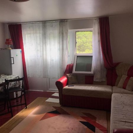 Garsoniera Lazaroiu Appartement Băile Govora Buitenkant foto